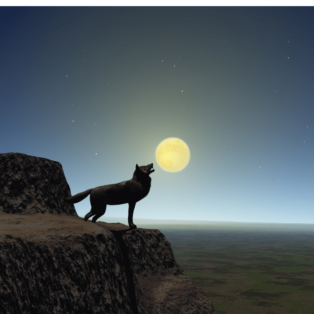 Weekly Horoscope 2024/5/20 to 5/26 Venus Conjunct Jupiter Full Moon